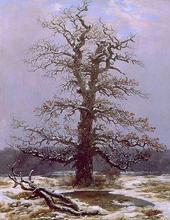 Caspar David Friedrich Eiche im Schnee Spain oil painting art